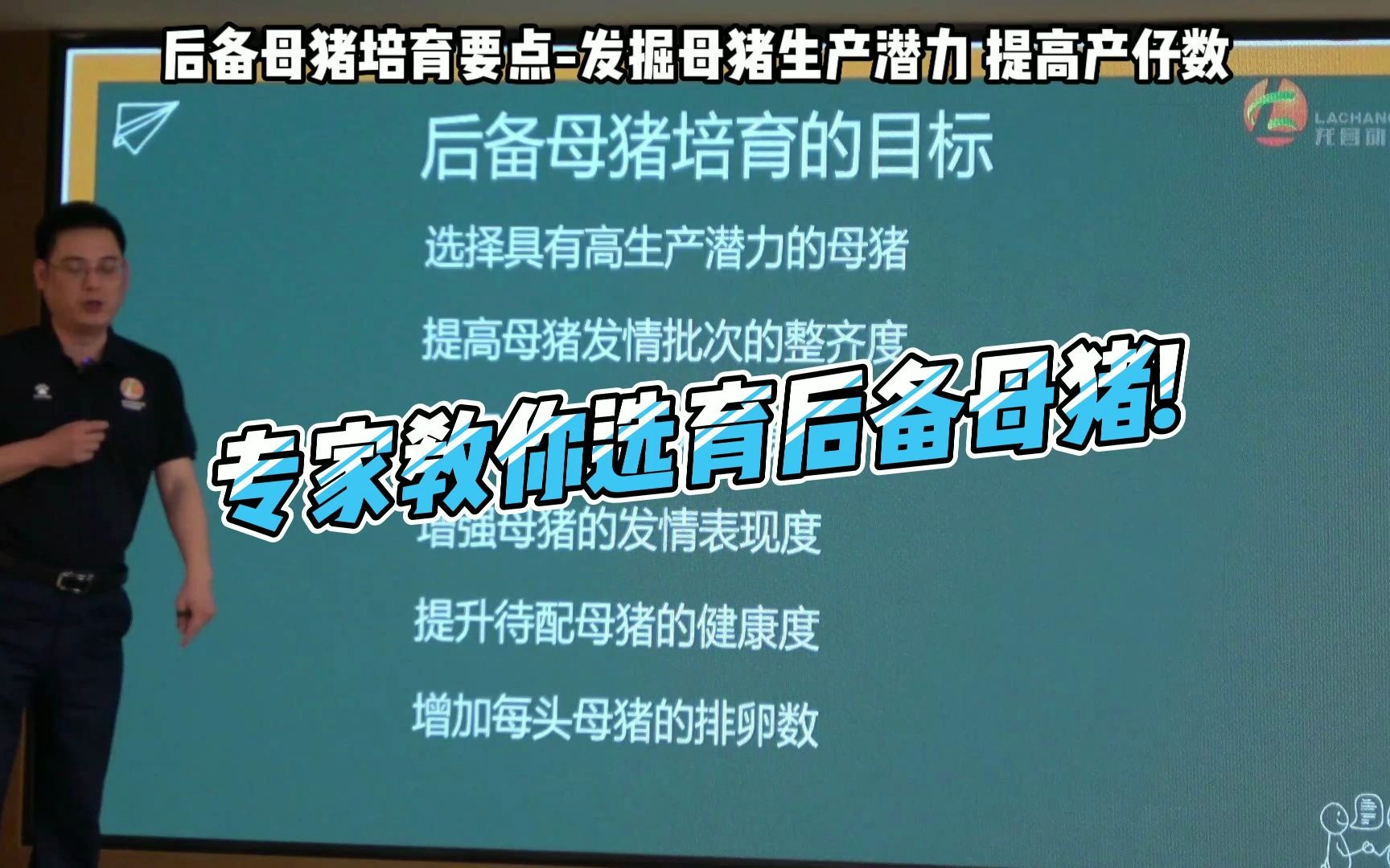 专家教你选育后备母猪! 后备母猪选育要点:发掘母猪生产潜力,提高产仔数!选育后备母猪的技巧#养猪 #养猪技术 #后备母猪选种 #养猪知识 #母猪养殖技...