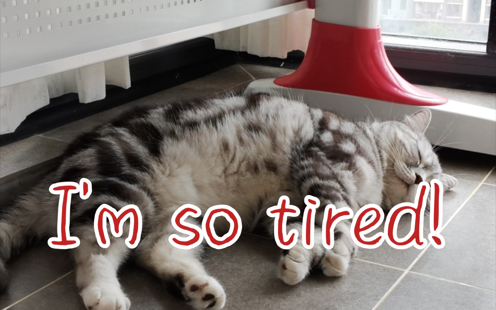 [图]I'm so tired!