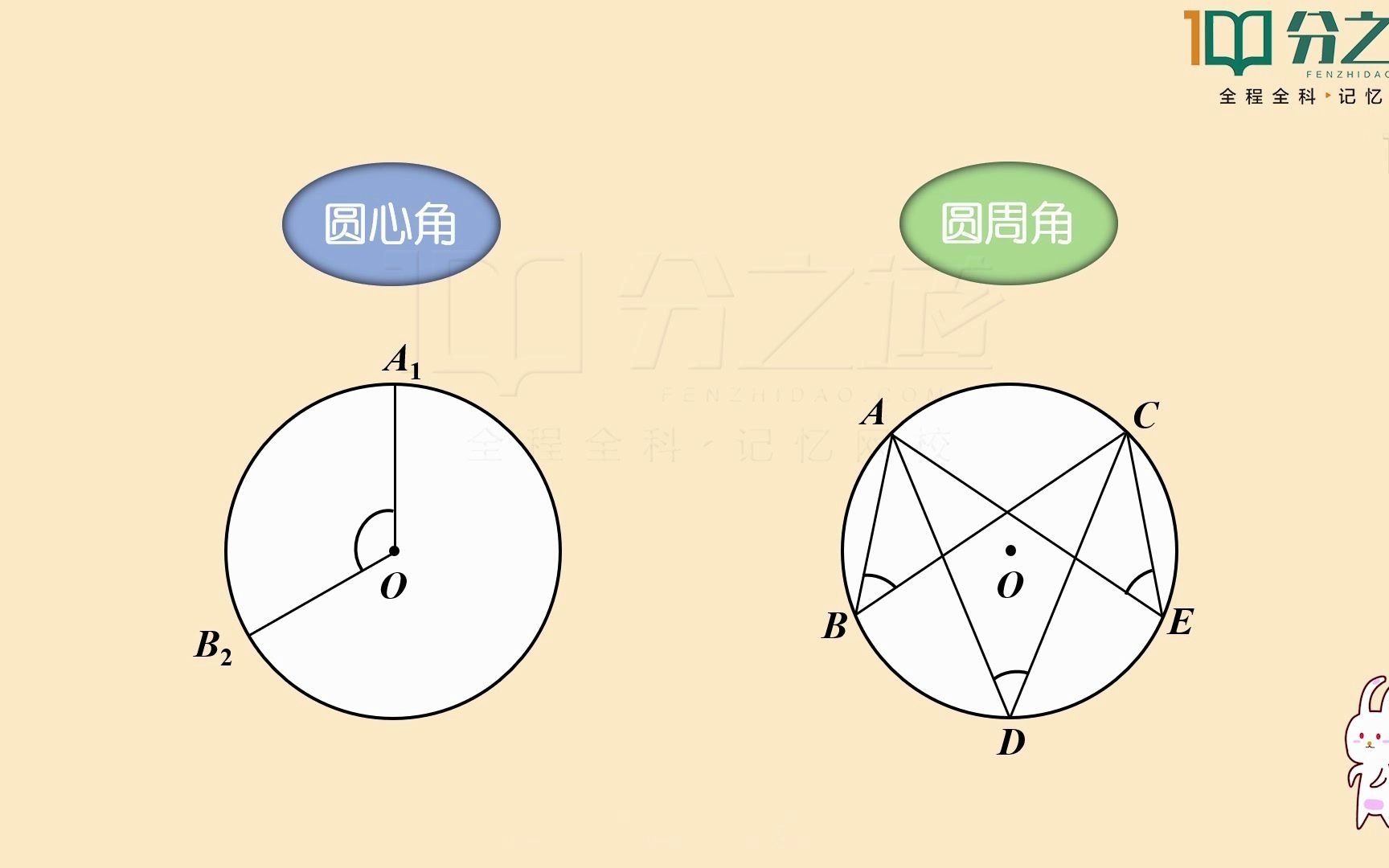 圆周角和圆心角有什么关系?有什么不同?哔哩哔哩bilibili