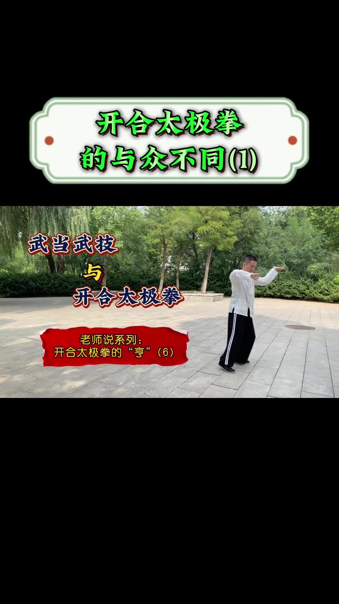 开合太极拳与众不同体现在哪里(2)?哔哩哔哩bilibili