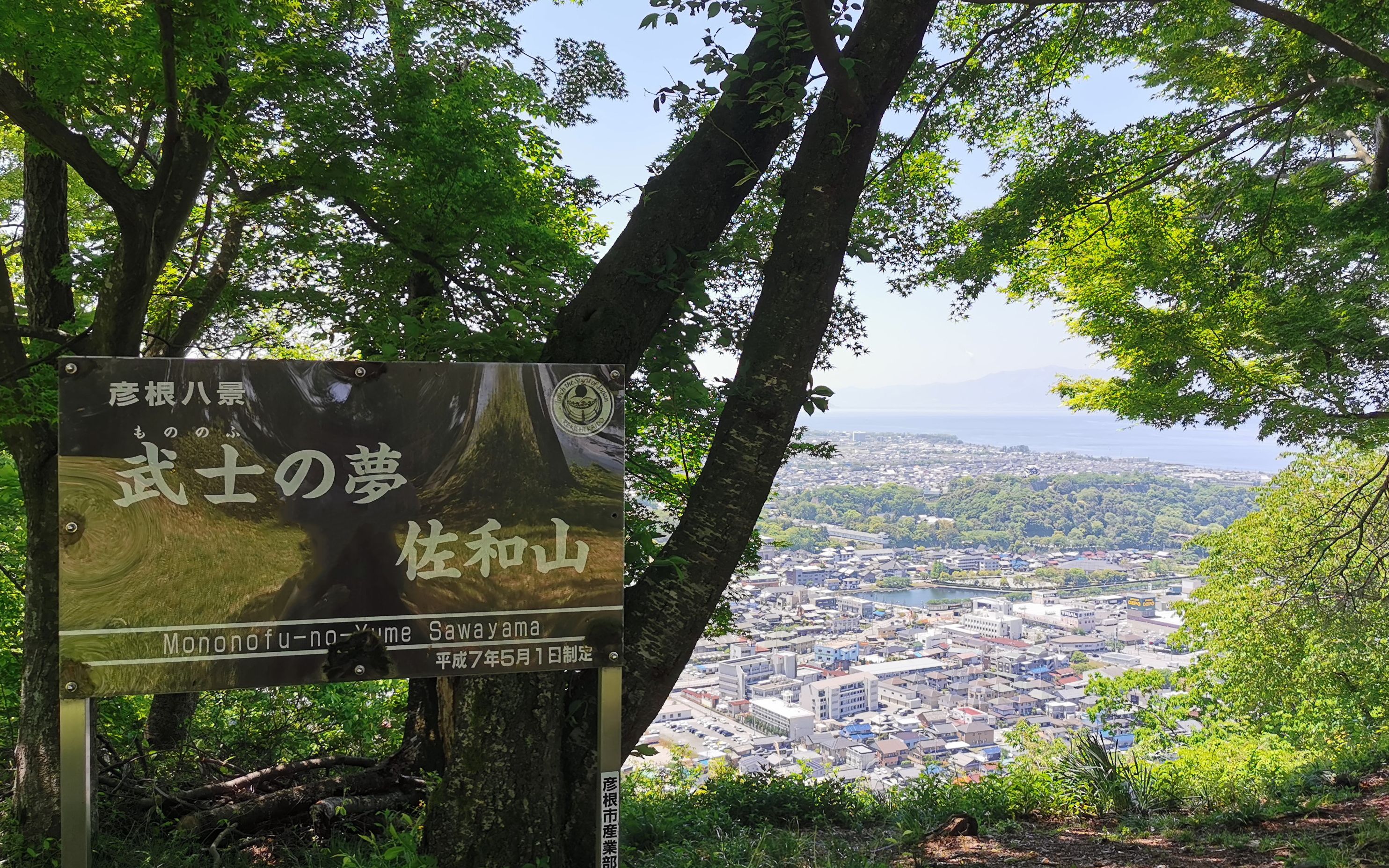 佐和山龙潭寺哔哩哔哩bilibili