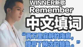 請戴上耳機系列 E T Series Have A Good Day Winner 消音 伴奏 Mr Mr Removed 人聲 Remember 哔哩哔哩 つロ干杯 Bilibili