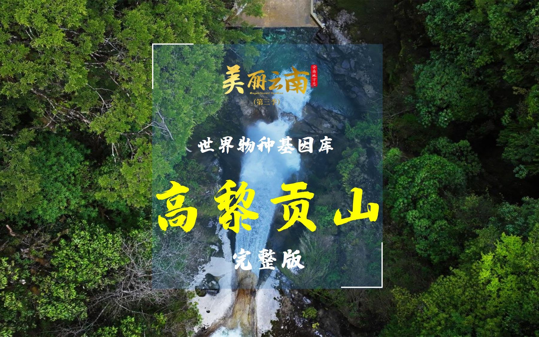 世界物种基因库——云山:高黎贡山(完整版)|《美丽云南》(第三季)哔哩哔哩bilibili