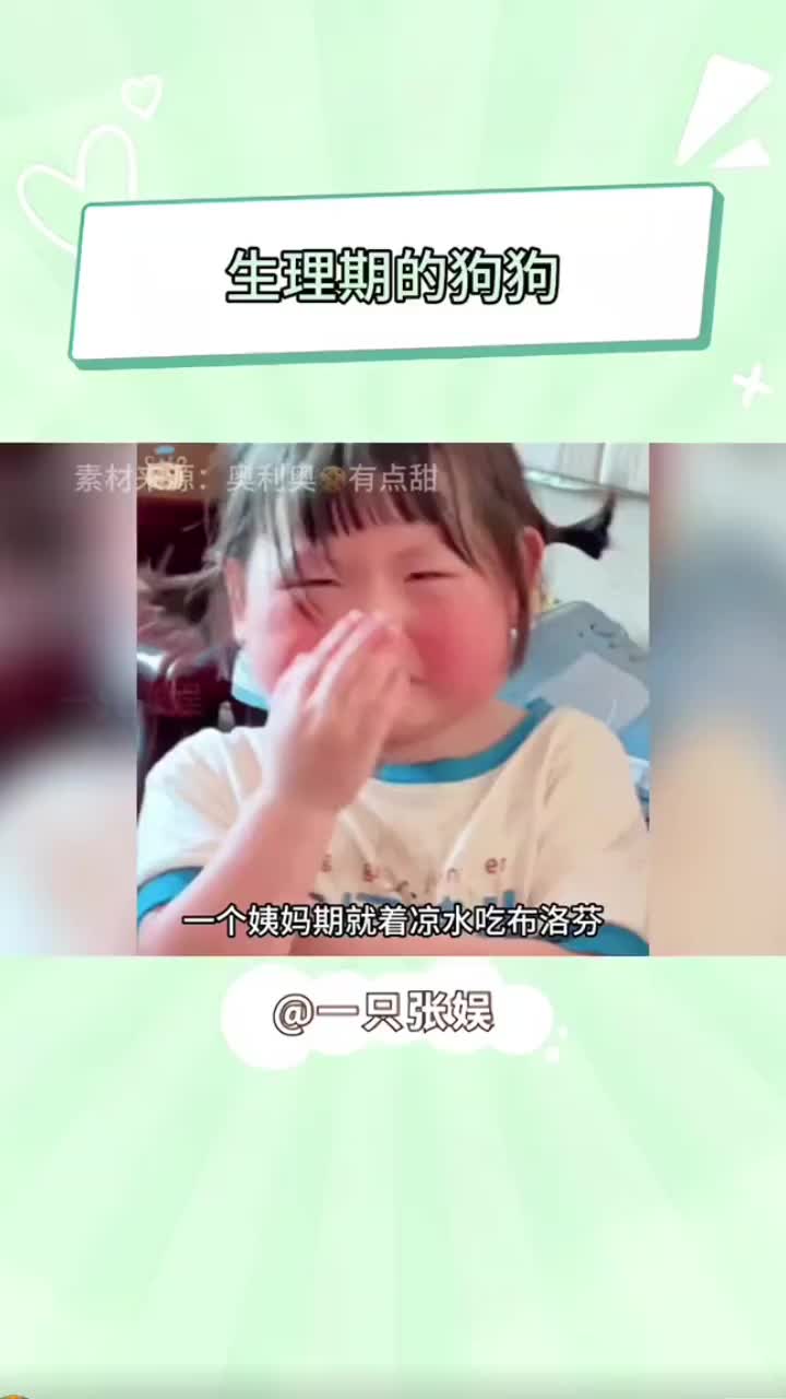 狗狗的生理期生活哔哩哔哩bilibili