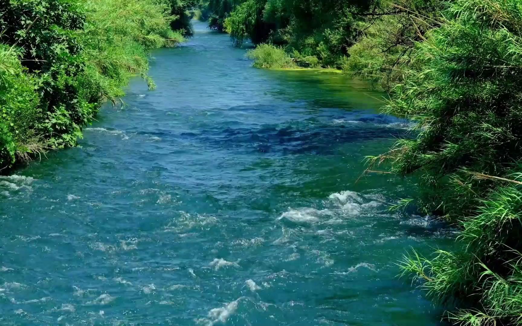 【白噪音】小溪流水 潺潺流水声 自然环境音丨助眠丨放松