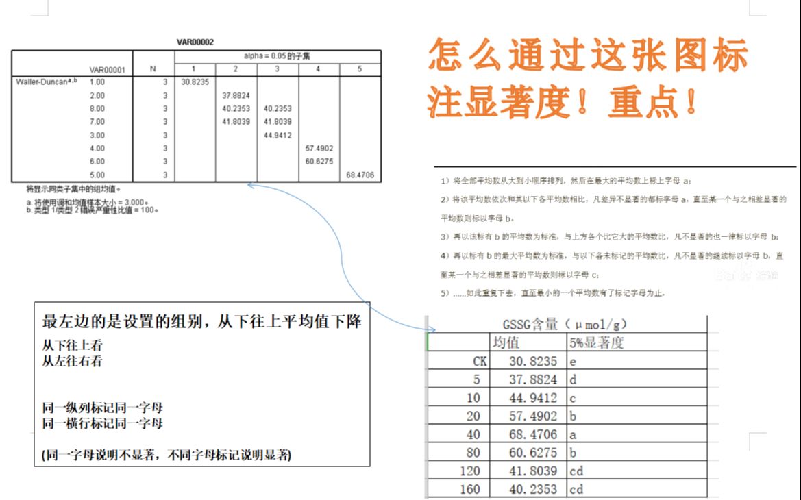 SPSS计算均值标准差,标显著度/Sigmaplot作柱状图(演示一遍,凑合着看)哔哩哔哩bilibili