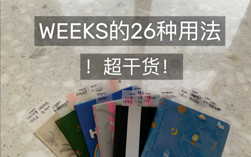 WEEKS周计划的26种用法|你从没见过的极简满字手帐排版哔哩哔哩bilibili