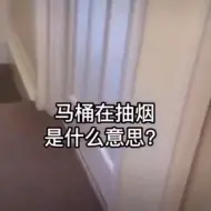 Télécharger la video: “爸，马桶在抽烟”