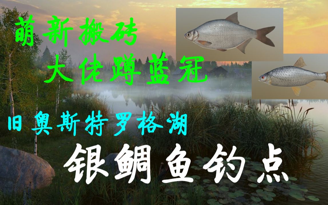 【银鲷鱼钓点】萌新勤搬砖 大佬蹲蓝冠 Russian fishing 4(俄罗斯钓鱼4)哔哩哔哩bilibili