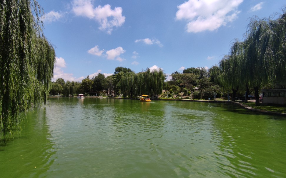 2021年夏涿州华阳公园风景如画