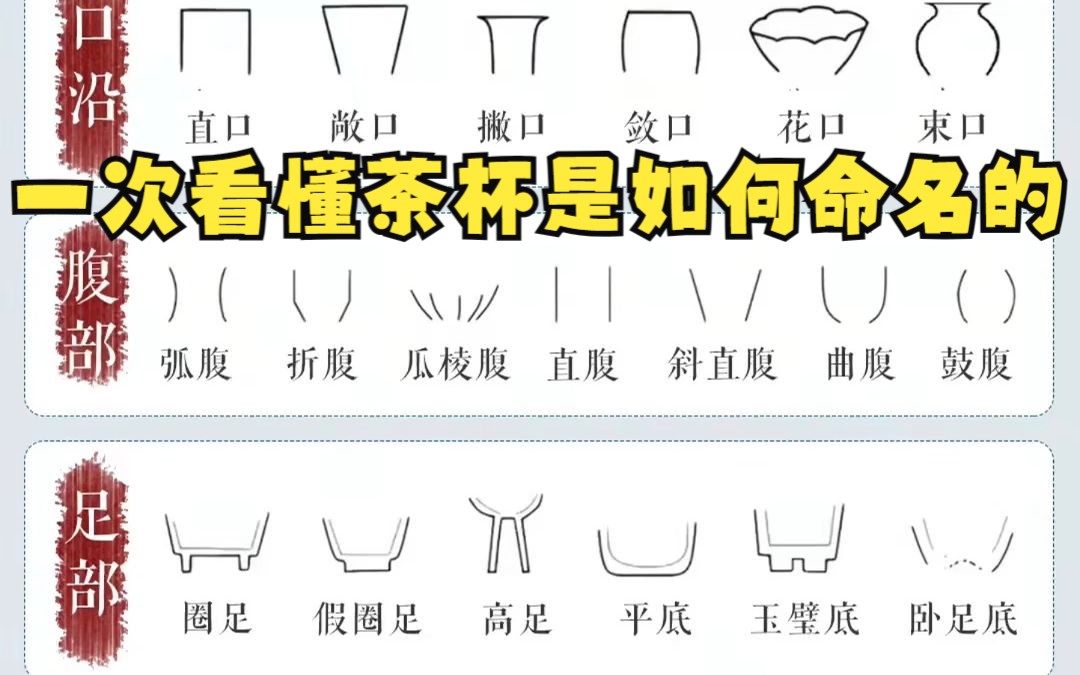 一次看懂茶杯是如何命名的哔哩哔哩bilibili