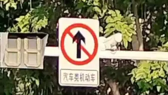 当别的城市都在禁摩，我们却在限制四轮。另外，说摩托车靠右行驶的贼蠢-2024年12月18日