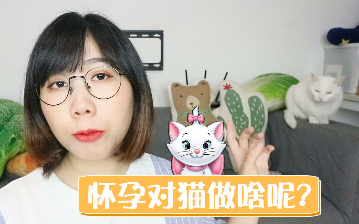 【纯干货】怀孕了就要把宠物送走?做好这3点,从备孕到生产都能养宠物!哔哩哔哩bilibili