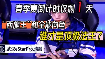 下载视频: 总决赛仅剩一天！“西施王”清融和全能法师向鱼，谁才是真正的法王？