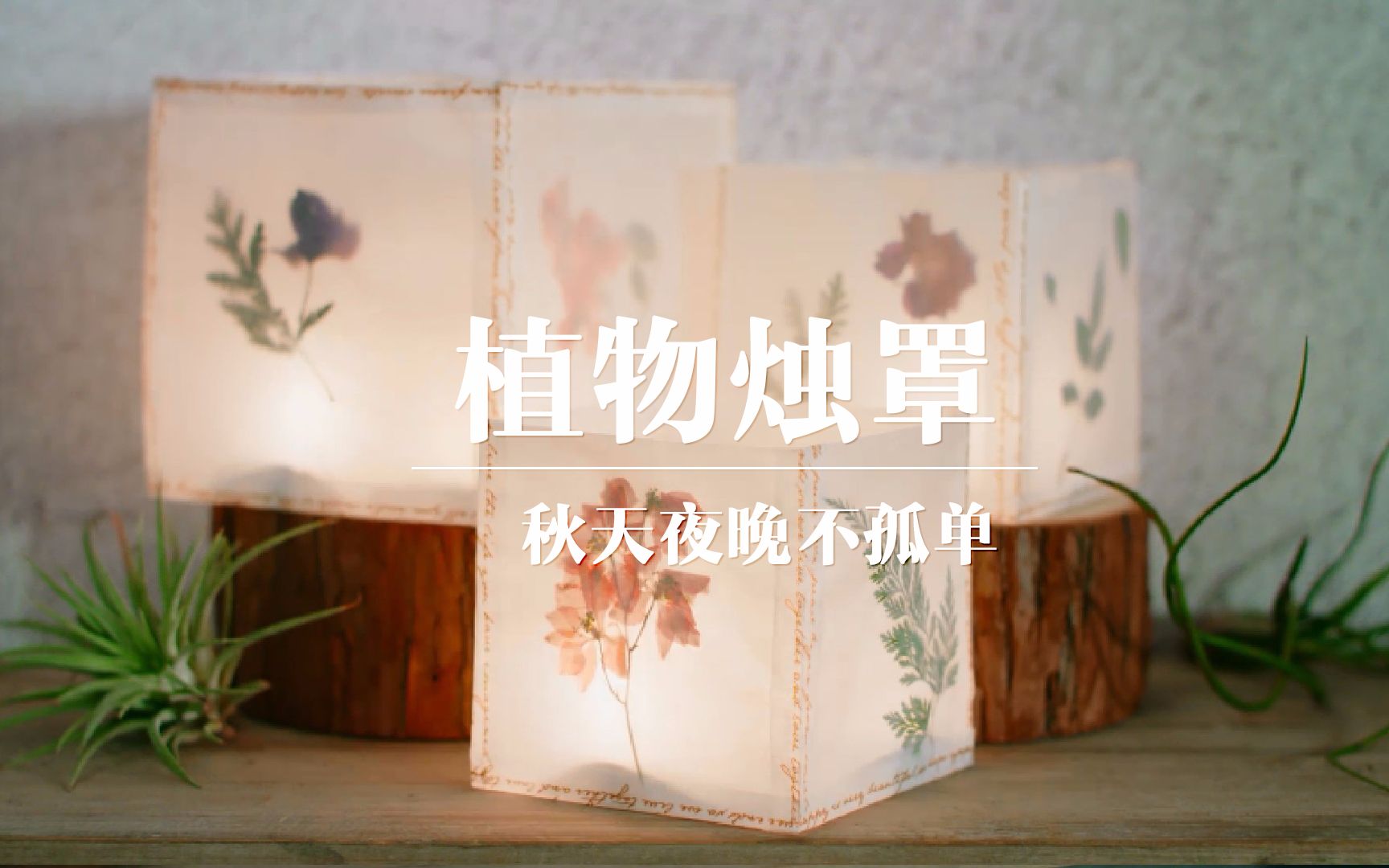 【焰火花园#48】干花香薰蜡烛灯罩哔哩哔哩bilibili