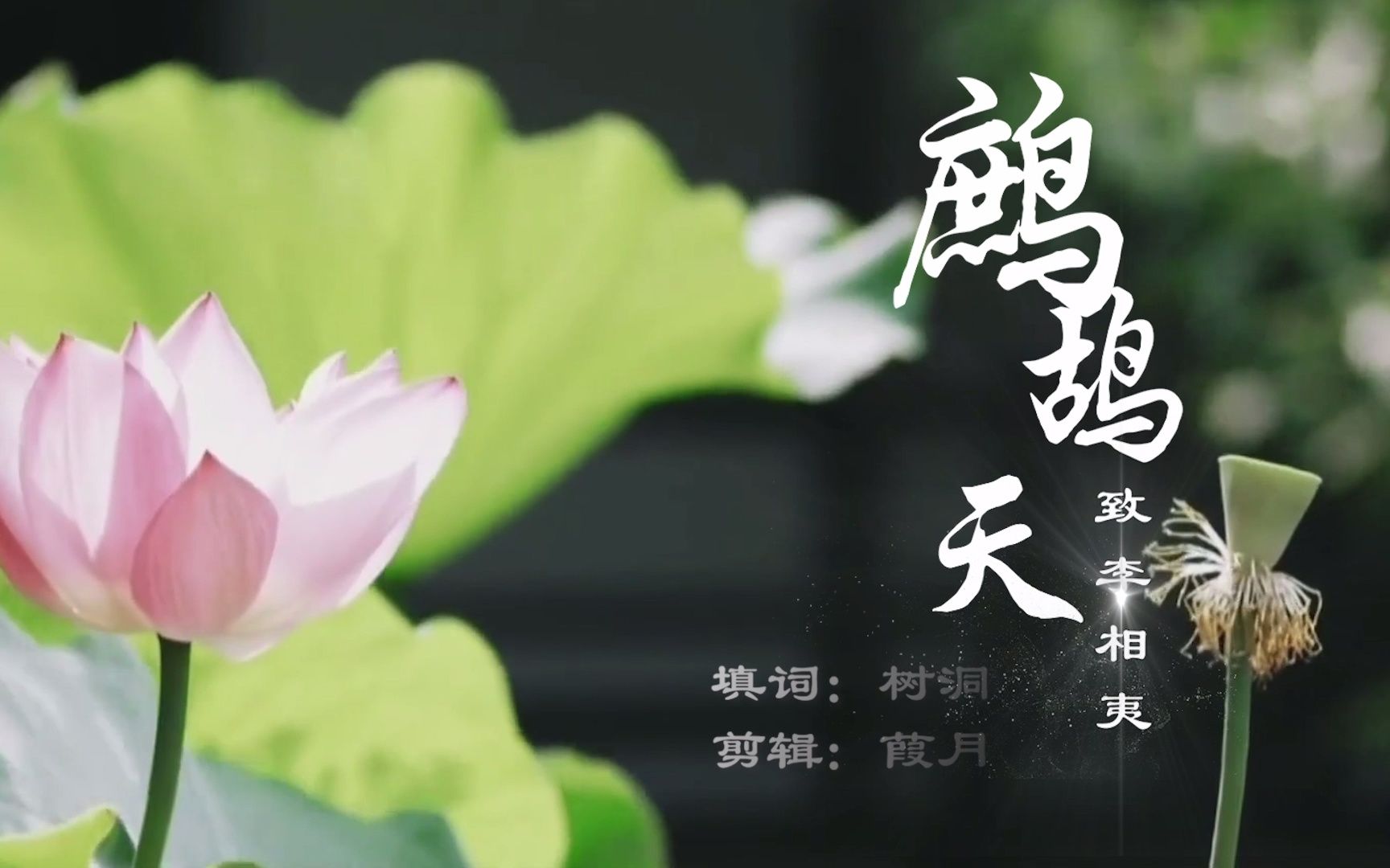 [图]鹧鸪天 -致李相夷 （莲花楼原创诗词MV）