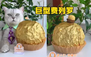 Video herunterladen: 猫王：比头还大的巨型费列罗！