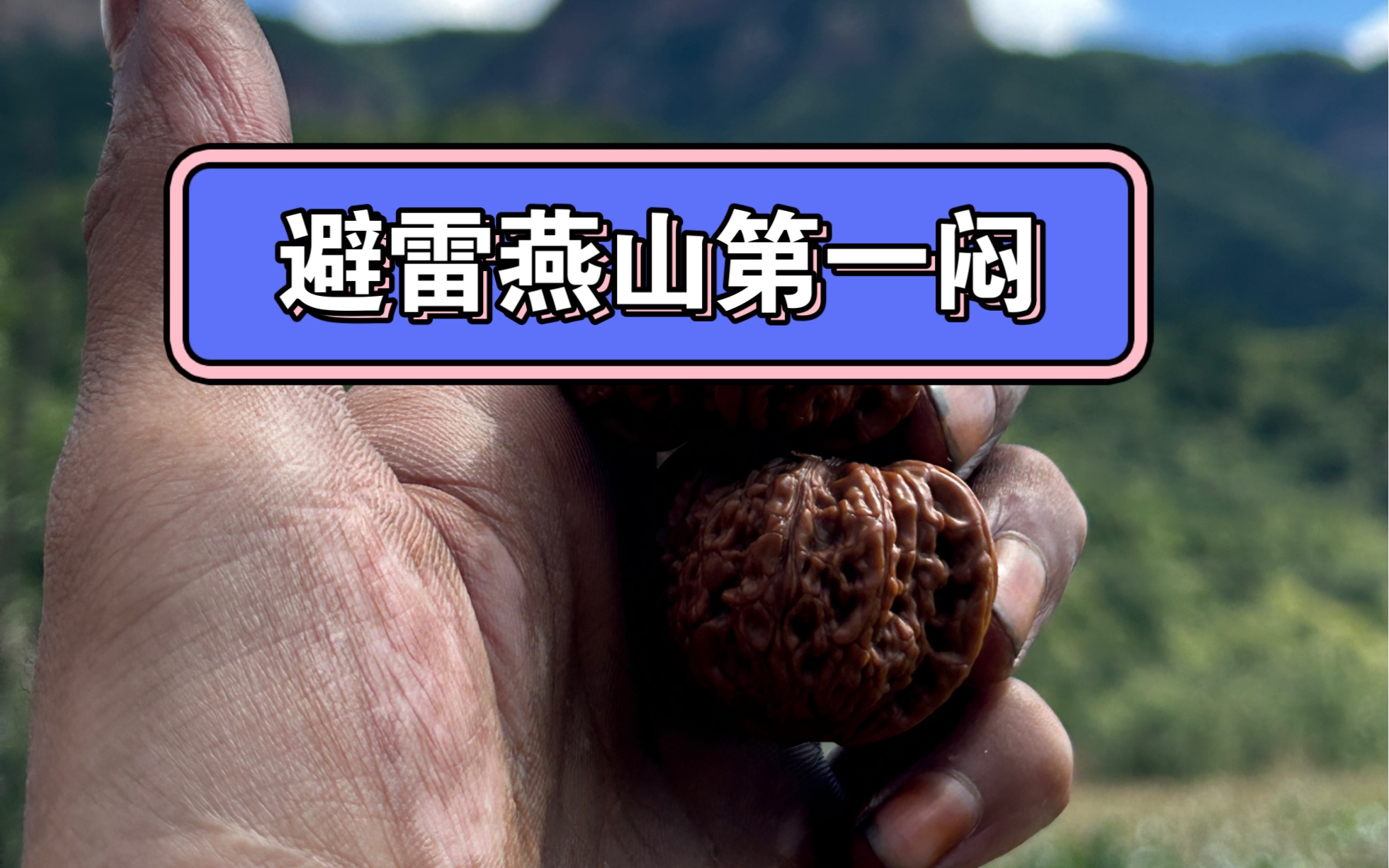 首先这款野生原树闷尖狮子头是由我们文玩八方团队发现并推向市场,已有五年之久!取名雾灵山闷尖狮子头,大受好评!哔哩哔哩bilibili