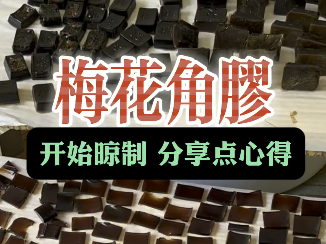 纯梅花鹿角胶终于开始晾制并分享些心得#梅花鹿 #鹿角胶 #制作过程