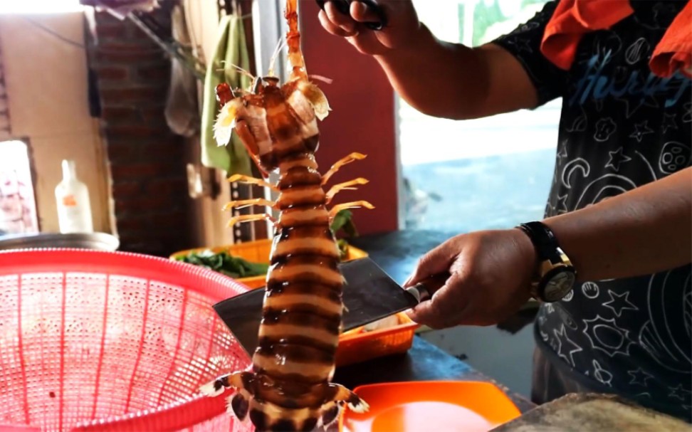 稀有品种巨型皮皮虾,一只重达3斤多,一顿饭绝对是管够的