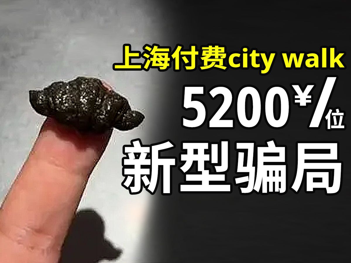 12万一次的City walk局,逼疯了多少沪上中产?哔哩哔哩bilibili