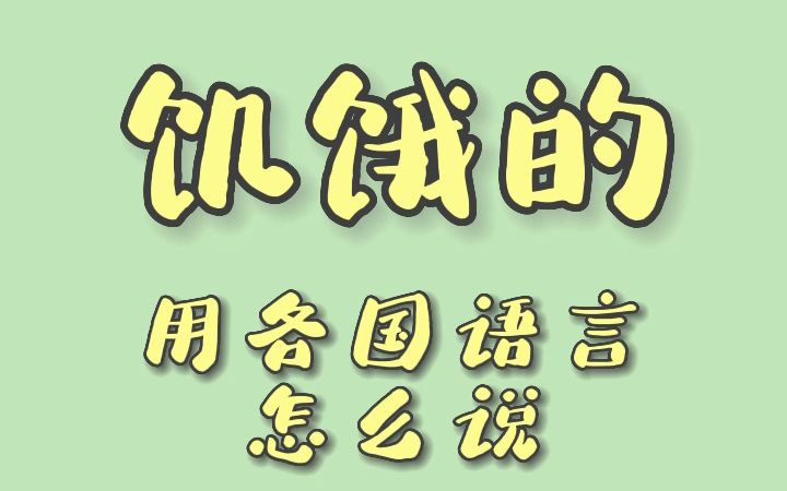 饥饿的用各国语言怎么说哔哩哔哩bilibili