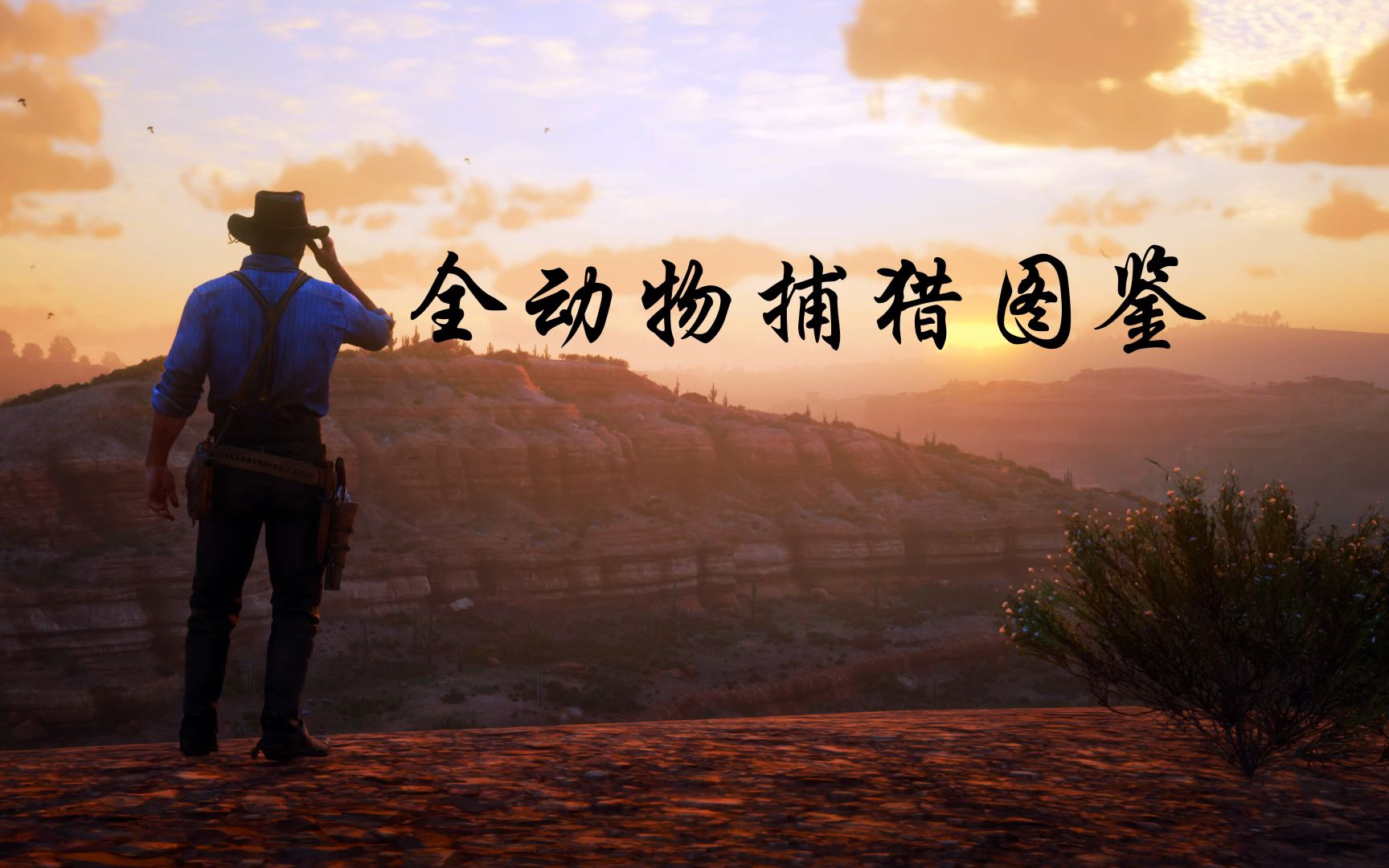 荒野大镖客2全动物捕猎图鉴