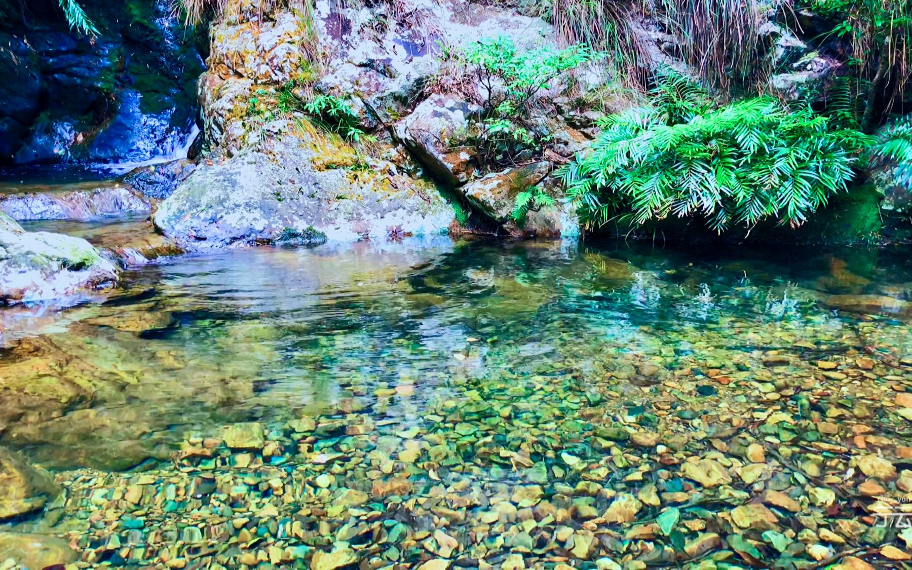 山涧里小瀑布流水声,水清澈到不要不要的,超清以上看,能照心