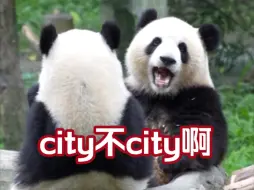 Скачать видео: 7.1渝可：妹妹，在大自然里吃笋city不city啊？渝爱：不city啊