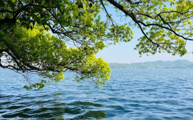 2023年刚刚开始,就因为借钱被三个微信好友拉黑,我不理解.