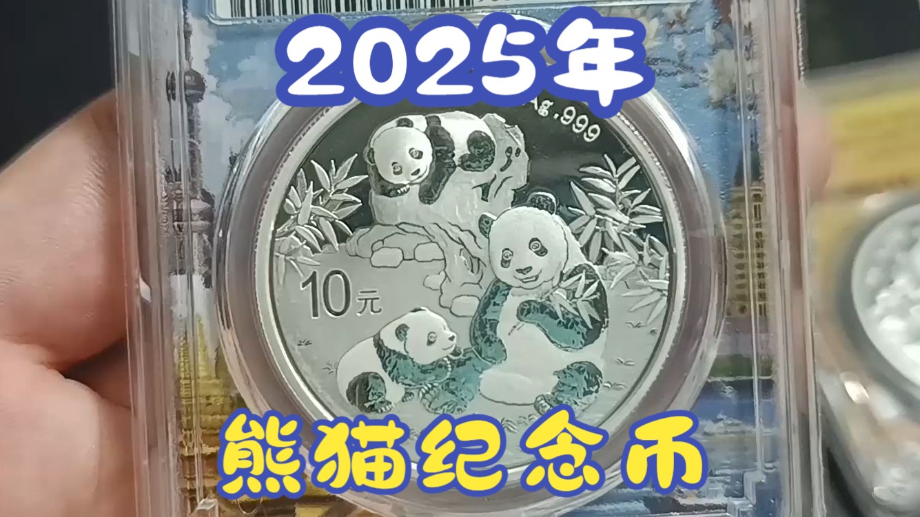 2025年熊猫纪念币哔哩哔哩bilibili