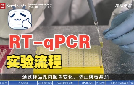 [图]RT-qPCR实验流程