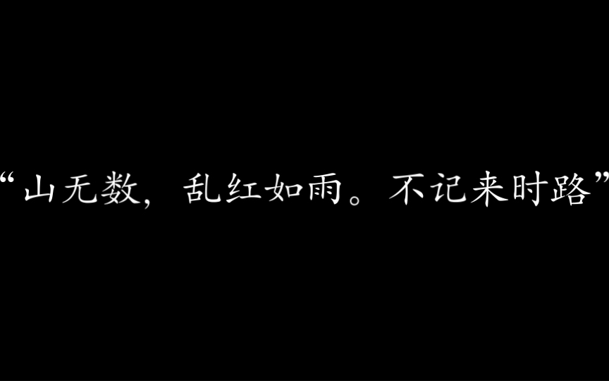 “山无数,乱红如雨.不记来时路”|惊艳的冷门诗词哔哩哔哩bilibili