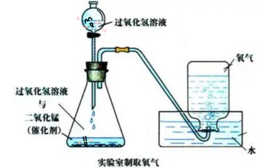 双氧水模型图片