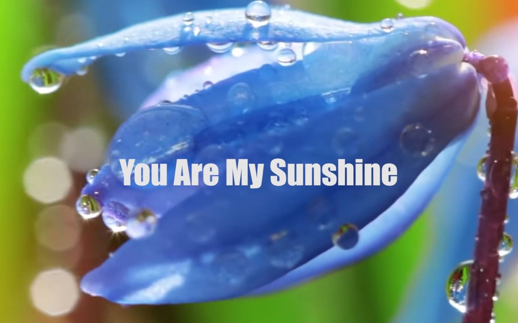 [图]You Are My Sunshine伴奏accompaniment Karaoke