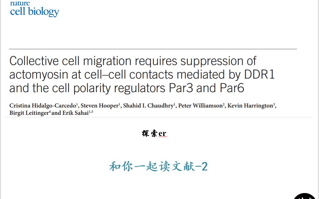 [图]Collective cell migration requires suppression of actomyosin at cell