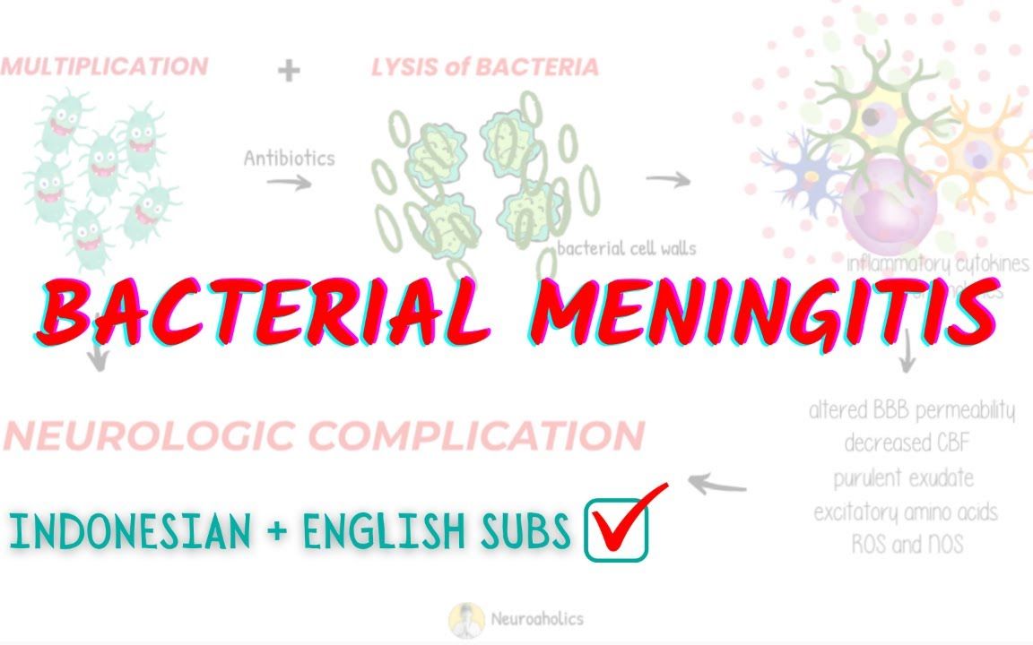 细菌性脑膜炎  中枢神经系统感染 | 双语字幕 | 医学动画 | 医学英语哔哩哔哩bilibili