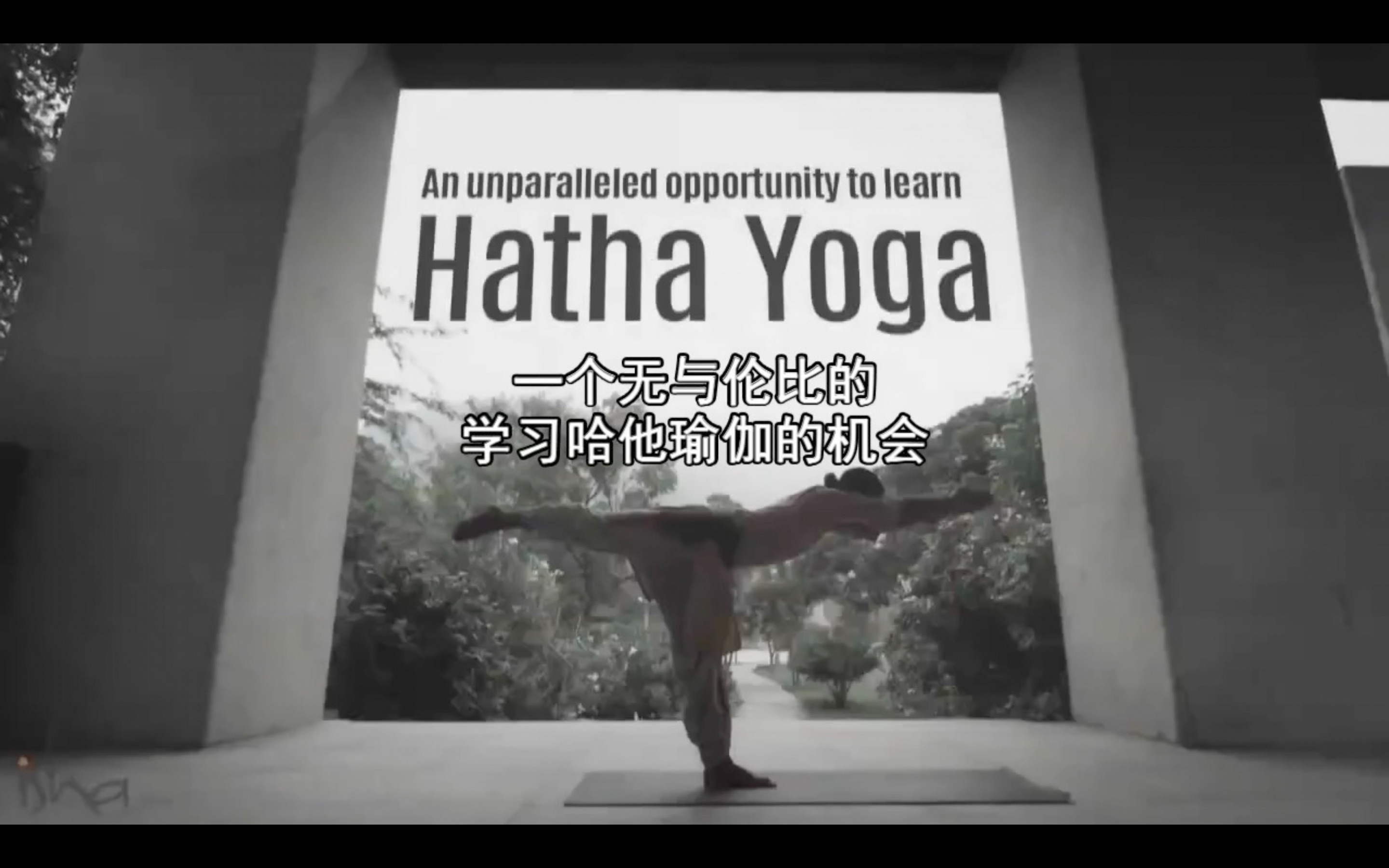 一个无与伦比的学习哈他瑜伽的机会|isha瑜伽 by 萨古鲁
