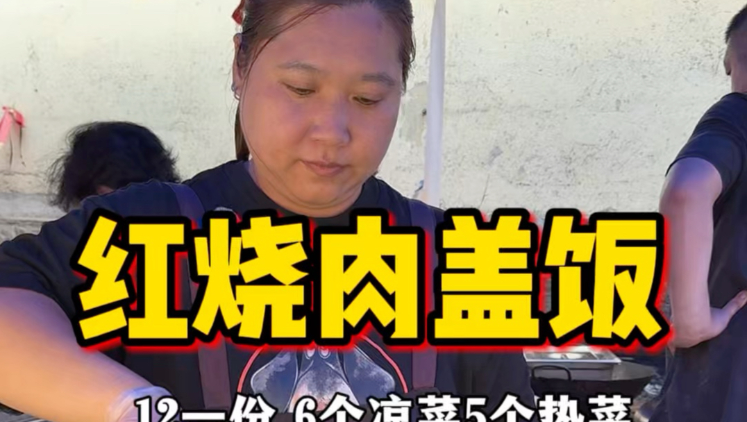 东北街边12一份的红烧肉盖饭！