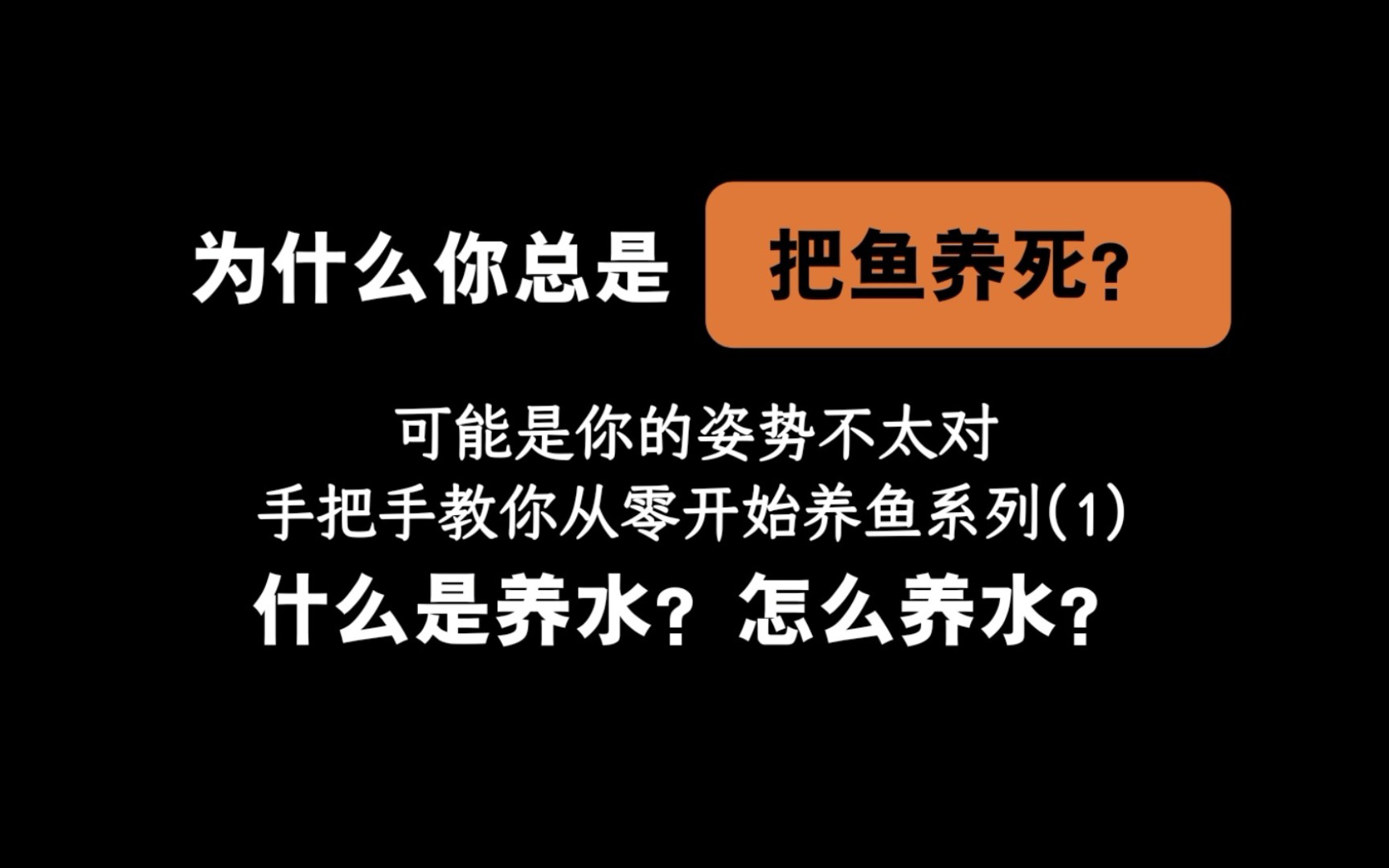 【养鱼教程】99.9%的鱼店老板不会告诉你的养鱼小秘密,新手100%成功的养鱼秘诀第一期:养水是什么意思?怎么养水?纯新手必备知识储备哔哩哔哩...