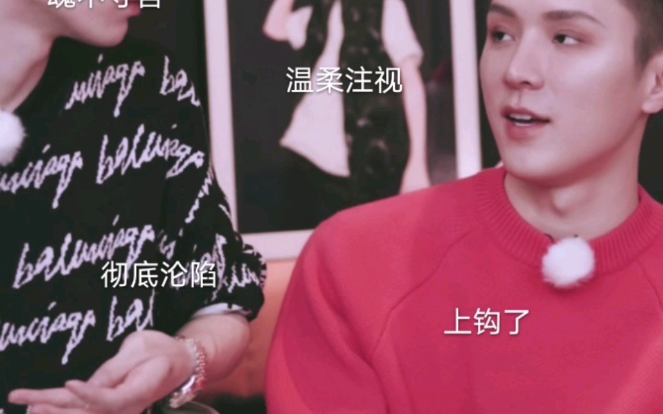 骆王宇崔佳楠好磕到上头