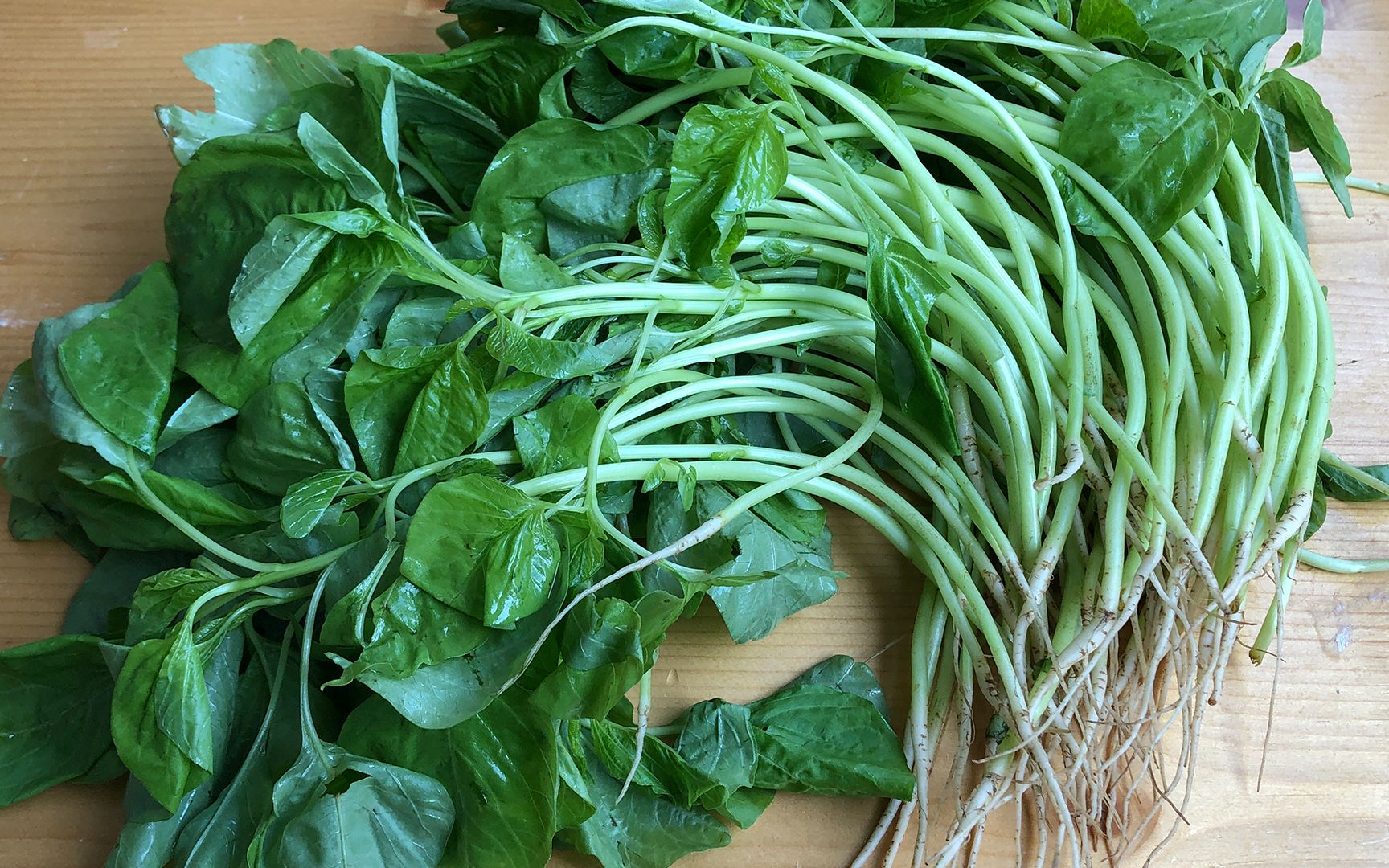 青苋菜这样做你可能没吃过,薄皮大馅很鲜嫩,而且营养更美味_哔哩哔哩