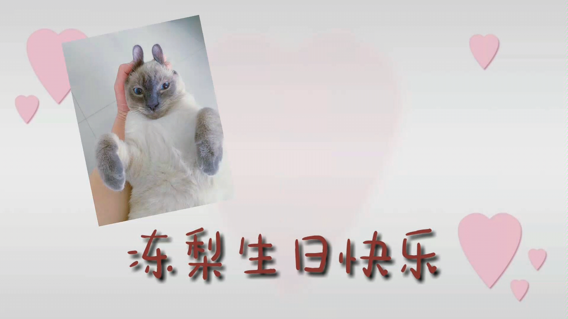 【猫咪】祝冻梨一周岁生日快乐