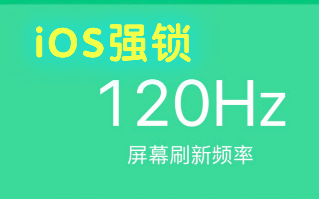 【全网首发】IOS强锁120hz高刷6.0破解苹果修复哔哩哔哩bilibili