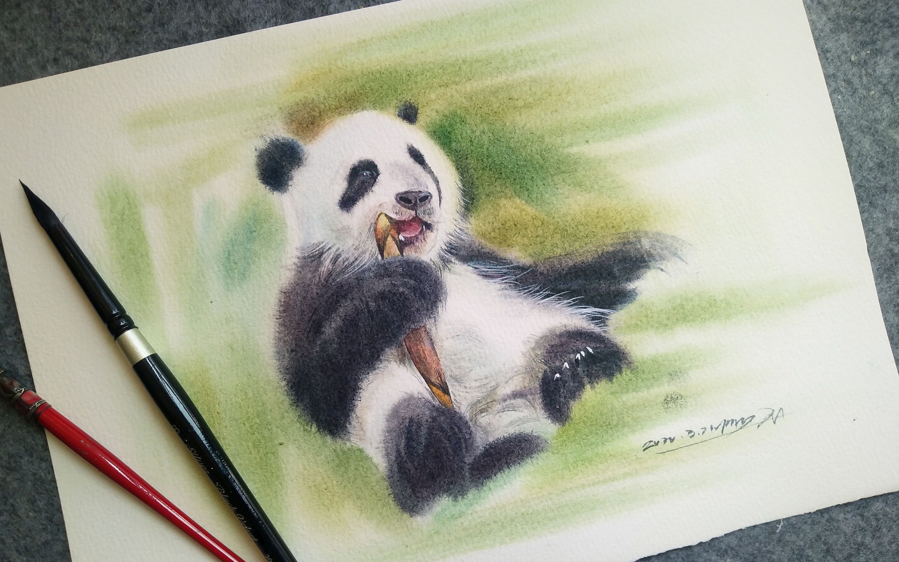 活动  【水彩】国宝的生活真巴适呀——吃竹笋的熊猫