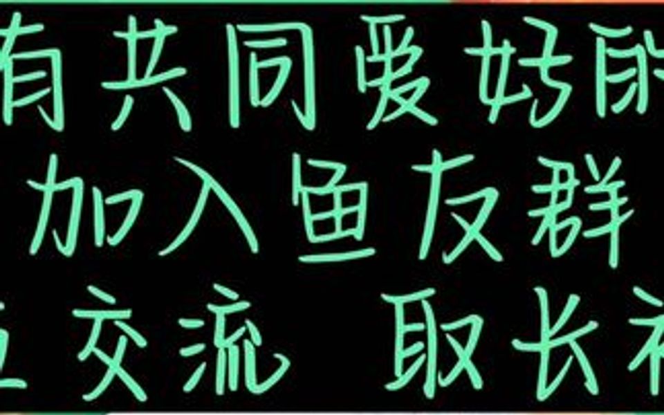 欢迎𐟑有共同爱好的鱼友,加入鱼友群,相互交流,取长补短,只为把自己的爱鱼,养的更健康,更漂亮,更完美!哔哩哔哩bilibili