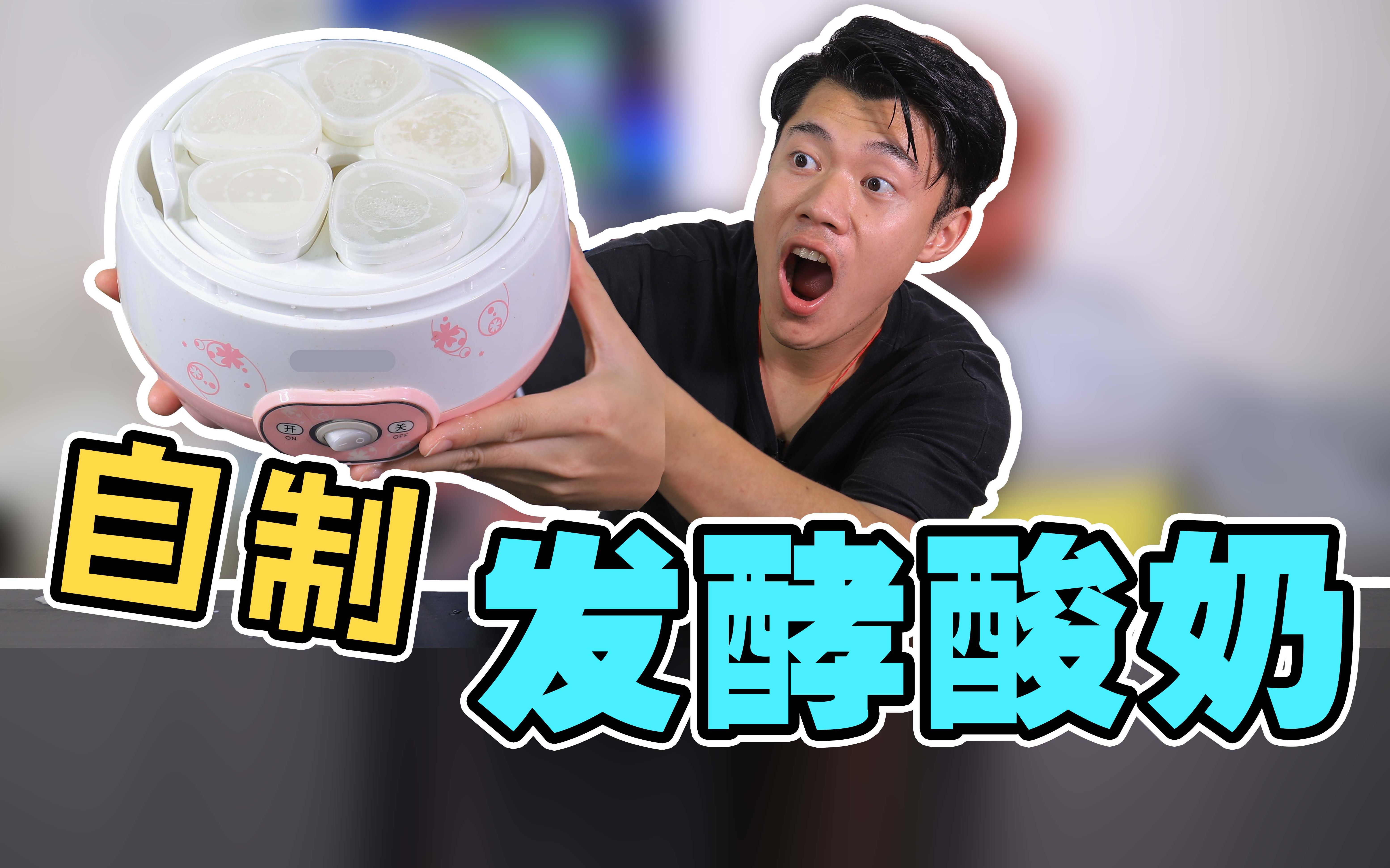 小伙体验“酸奶机”,发酵10个小时,掀开盖子惊喜不断!哔哩哔哩bilibili