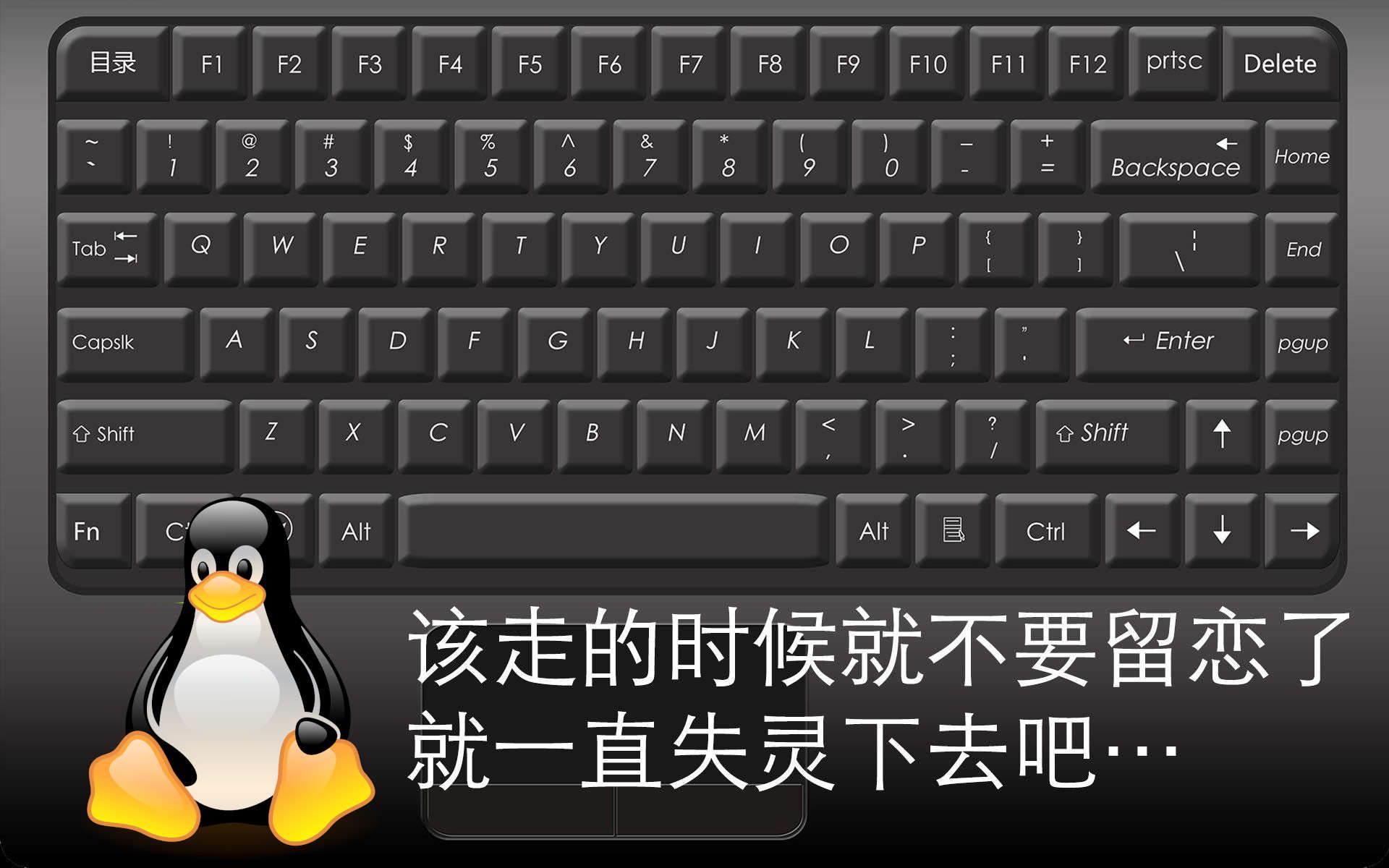 时隔两年,我又做了这个新的屏蔽笔记本键盘的教程哔哩哔哩bilibili