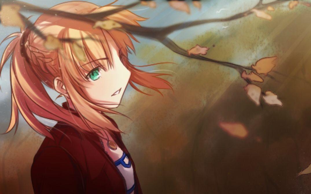 小莫单挑影之国师徒 用或其他应用扫描二维码 点赞 相关游戏: fate