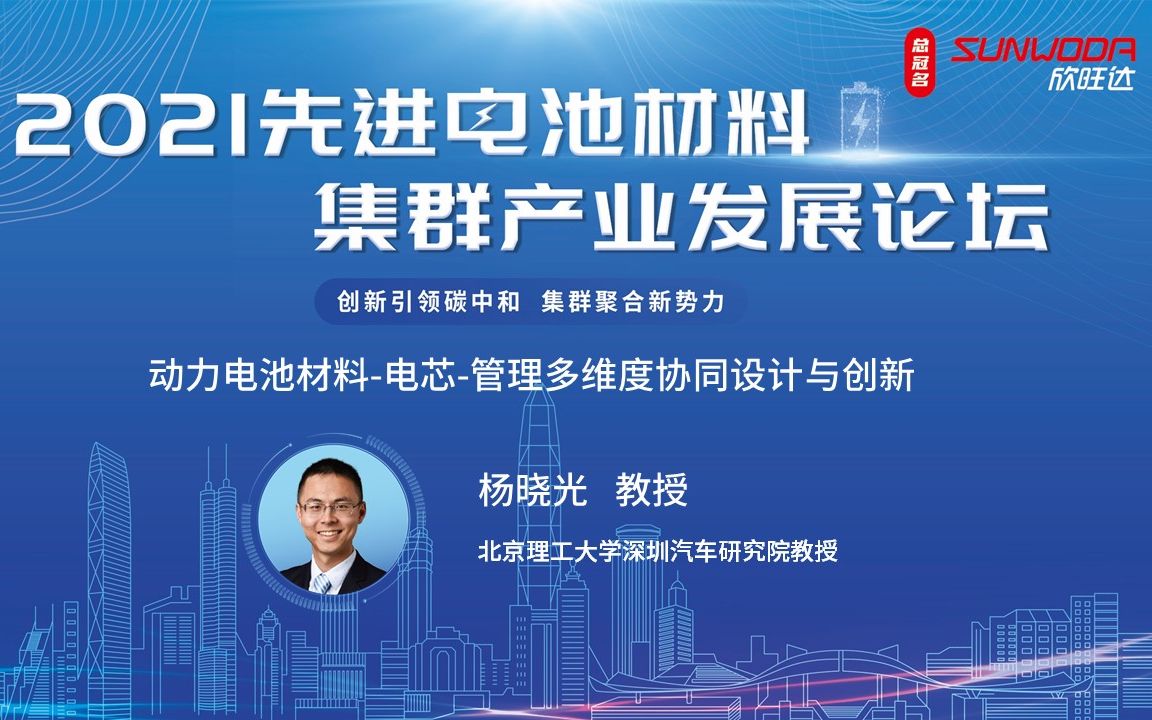 北京理工大学深圳汽车研究院教授杨晓光《动力电池材料电芯管理多维度协同设计与创新》哔哩哔哩bilibili